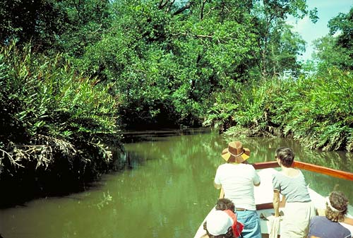 Touristic attractions of Costa Rica : Tortuguero National Park
