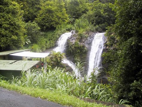 Touristic attractions of Grenada : Concord Falls & Trail