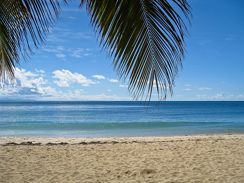 Touristic attractions of Martinique : Grande Anse des Salines