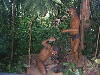 Touristic attractions of Martinique : Pre-Columbian Museum