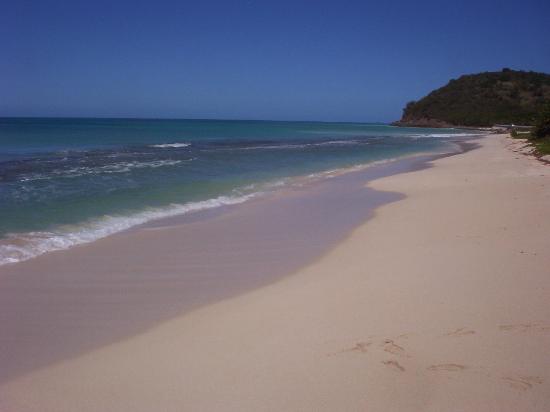 Touristic attractions of Antigua and Barbuda : Darkwood Beach