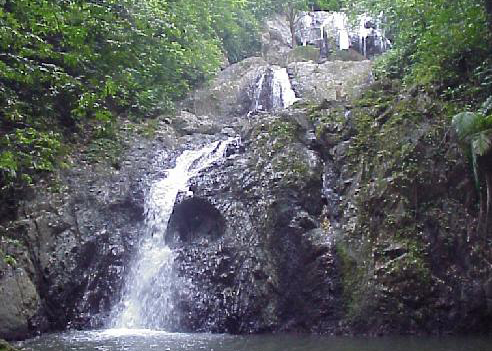 Touristic attractions of The Caribbean : Argyle Falls, Trinidad & Tobago