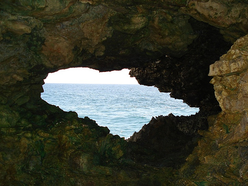 Touristic attractions of Barbados : Animal Flower Cave