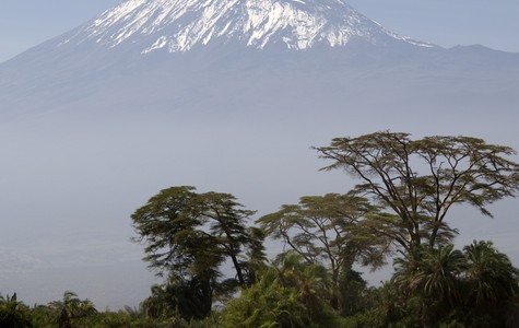 Touristic attractions of Africa : Mt. Kilimanjaro